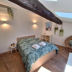 La Garriguette Centre Historique Calme Climatise 6 A 8 Couchages Appartement